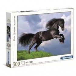 INGROSSO PUZZLE PZ.500 FRESIAN B