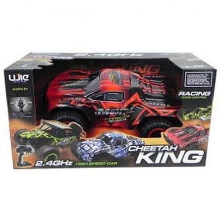 INGROSSO BUGGY LEXAN RC 2.4 GH 1