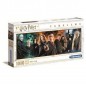 PUZZLE PZ.1000 PANORAMA HERRY POTTER EAN  INGROSSO PUZZLE CLASSICI