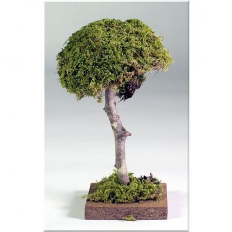 INGROSSO ALBERO LEGNO C/MUSCHIO