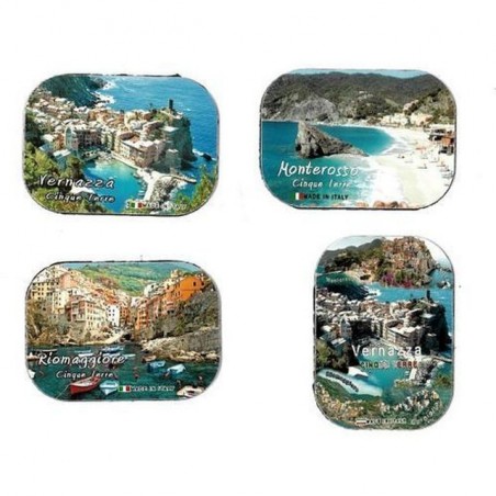 INGROSSO MAGNETE RIVIERA LIGURE