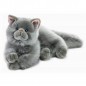 LEONARD GATTO SDRAIATO 40 CM. L. EAN 8029956159671 INGROSSO PELUCHE MORBIDOSI