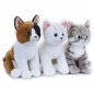 RONNIE GATTINO SEDUTO 21CM 3 COL. PELUCHE EAN  INGROSSO PELUCHE MORBIDOSI