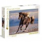 PUZZLE PZ.1000 FREE HORSE HIGH QUALITY C 69X50 SCATOLA 37X28X5.5CM EAN 8005125394203 INGROSSO PUZZLE CLASSICI