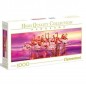 PUZZLE PZ.1000 DANZA FENICOTTERO HQC PANORAMA 98X33CM SCATOLA 40X21X6CM EAN 8005125394272 INGROSSO PUZZLE CLASSICI