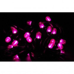 INGROSSO LED CORD. VIOLA 20 LAMP