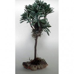 INGROSSO PIANTINA ART.AA859