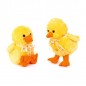 PAPERO PULCINO C/VERSO L30CM EAN  INGROSSO PELUCHE PASQUALI