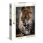 PUZZLE PZ.1000 HQC WILDLIFE EAN 8005125393268 INGROSSO PUZZLE CLASSICI
