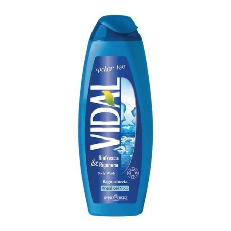 INGROSSO VIDAL BAGNO 500ML. POLA