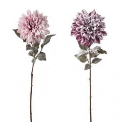 INGROSSO DALIA INNEVATA CM.73 NA