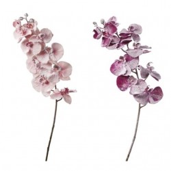 INGROSSO ORCHIDEA INNEVATA 10FIO