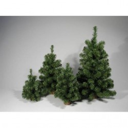 INGROSSO ALBERO ECOLOGY CM.40 VE