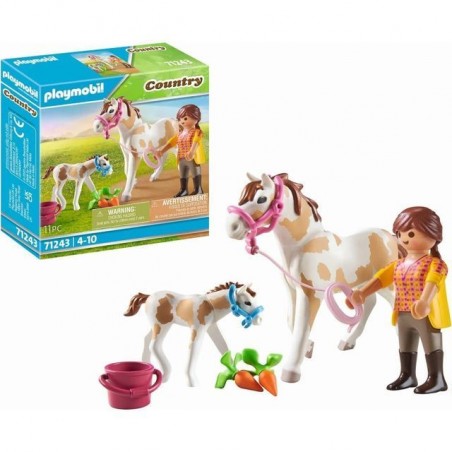 INGROSSO PLAYMOBIL 71243 RAGAZZA