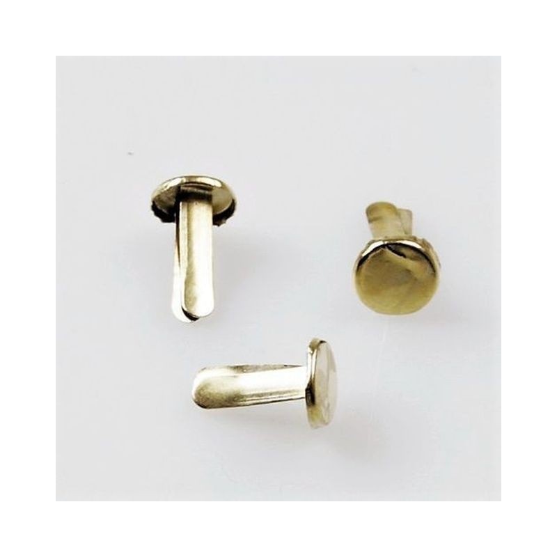 FERMACAMPIONI MM.34 PZ.100 OTTONATI EAN 8007979001184 INGROSSO PUNTINE E FERMAGLI