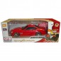 STREET CARS R/C 1:24 ASS. EAN 0090159812173 INGROSSO AUTO CON RADIOCOMANDO