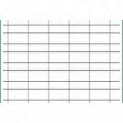 INGROSSO QUADERNO PIGNA COLOR 42