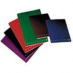 INGROSSO QUADERNO PIGNA 80G 42FF