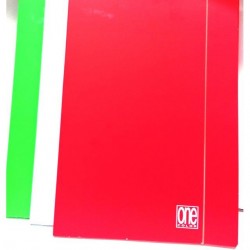 INGROSSO CARTELLA A4 3L 1CM C/EL