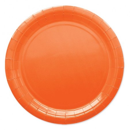 INGROSSO PIATTI CM.24 PZ.25 ECOL