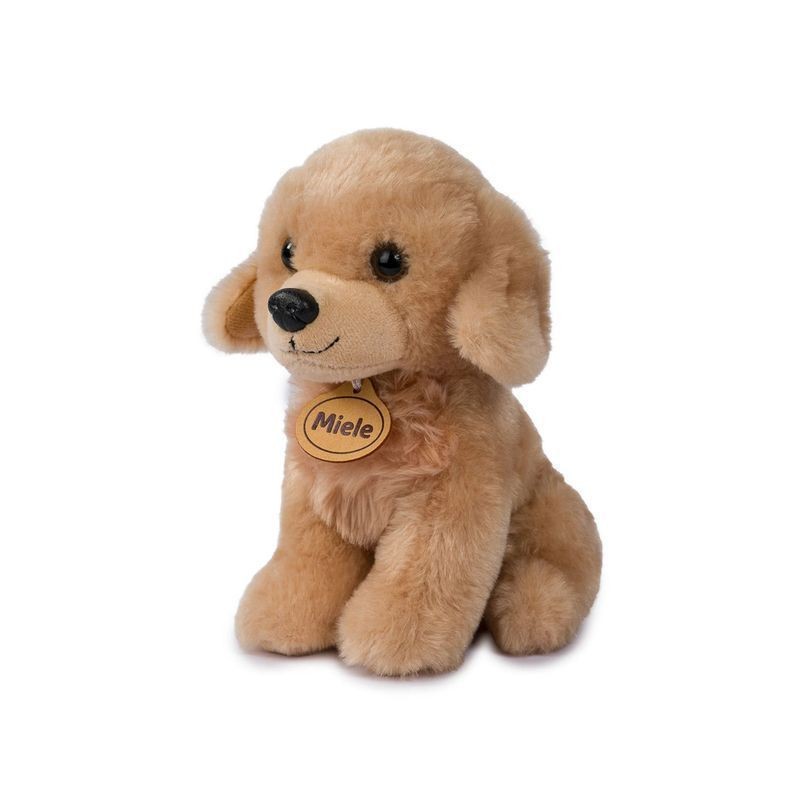 MORBIDELLI LABRADOR BEIGE MARLA H.20CM EAN 8009549254167 INGROSSO PELUCHE MORBIDOSI MORBIDELLI LABRADOR BEIGE MARLA H.20CM EAN 8009549254167 INGROSSO PELUCHE MORBIDOSI