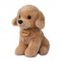 MORBIDELLI LABRADOR BEIGE MARLA H.20CM EAN 8009549254167 INGROSSO PELUCHE MORBIDOSI MORBIDELLI LABRADOR BEIGE MARLA H.20CM EAN 8009549254167 INGROSSO PELUCHE MORBIDOSI