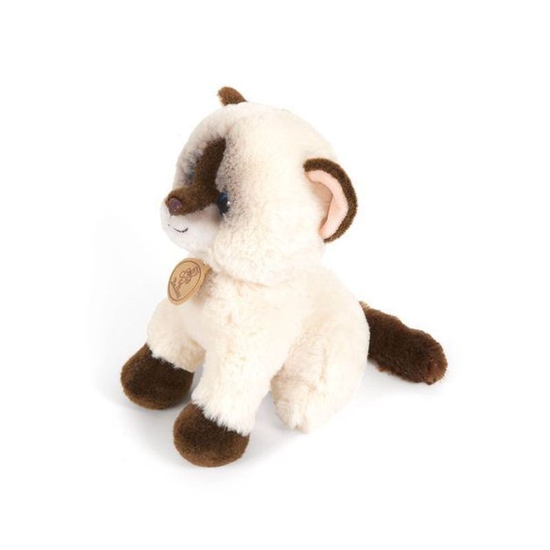 MORBIDELLI GATTO SIAMESE TOBY H.20CM EAN 8009549261288 INGROSSO PELUCHE MORBIDOSI MORBIDELLI GATTO SIAMESE TOBY H.20CM EAN 8009549261288 INGROSSO PELUCHE MORBIDOSI