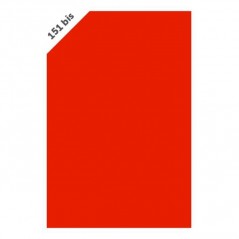 INGROSSO BUSTA 25FG 100X140 CART