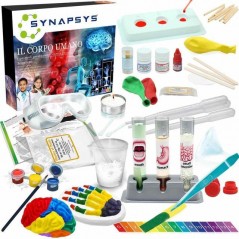 INGROSSO SYNAPSYS IL CORPO UMANO