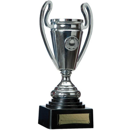 INGROSSO COPPA H.24CM C/CARTELLI