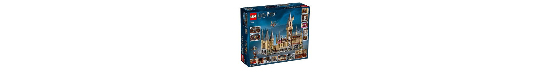 LEGO HARRY POTTER avventure magiche Harry Potter Hermione Hermione